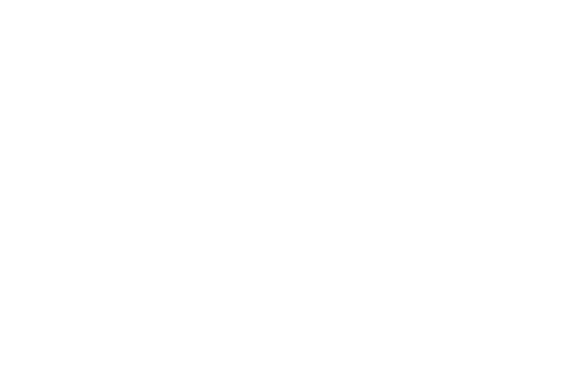 The Peace Foundation